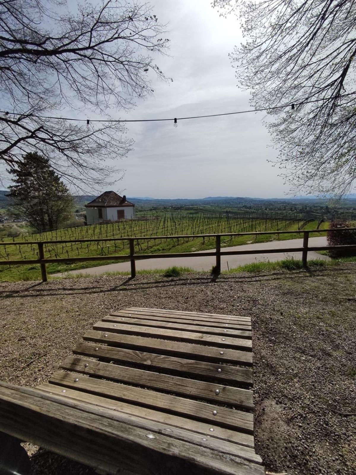 Appartement Sulzbachtal In Lahr, Naehe Europapark, Naehe Rulantica Lahr  Ngoại thất bức ảnh